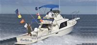 31ft Bertram "RUTHLESS"